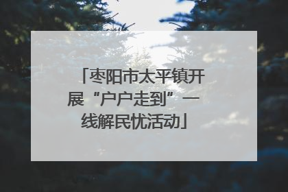 枣阳市太平镇开展“户户走到”一线解民忧活动