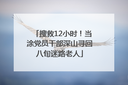 搜救12小时！当涂党员干部深山寻回八旬迷路老人