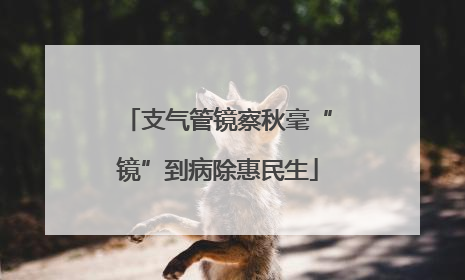 支气管镜察秋毫“镜”到病除惠民生