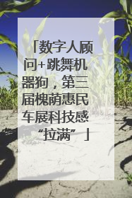 数字人顾问+跳舞机器狗，第三届槐荫惠民车展科技感“拉满”