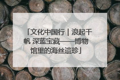 文化中国行｜浪起千帆 深蓝宝藏——博物馆里的海丝遗珍