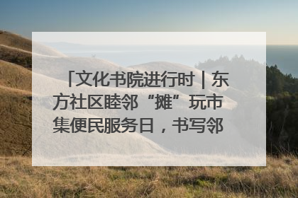 文化书院进行时｜东方社区睦邻“摊”玩市集便民服务日，书写邻里共生新篇章