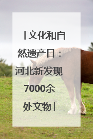 文化和自然遗产日：河北新发现7000余处文物