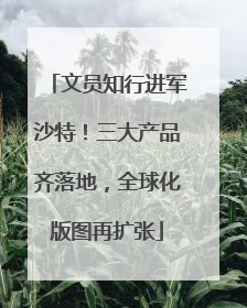文员知行进军沙特！三大产品齐落地，全球化版图再扩张