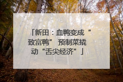 新田：血鸭变成“致富鸭” 预制菜撬动“舌尖经济”