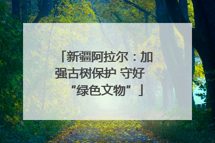 新疆阿拉尔：加强古树保护 守好“绿色文物”