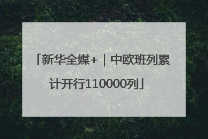 新华全媒+｜中欧班列累计开行110000列