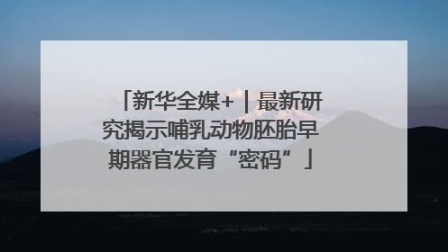 新华全媒+｜最新研究揭示哺乳动物胚胎早期器官发育“密码”