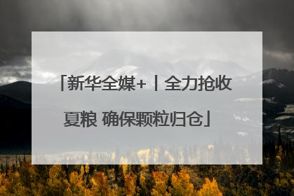 新华全媒+丨全力抢收夏粮 确保颗粒归仓