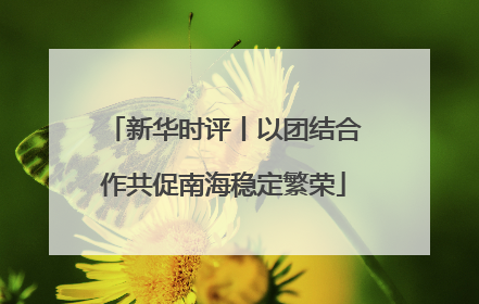 新华时评丨以团结合作共促南海稳定繁荣