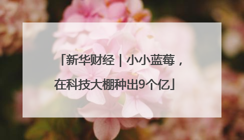 新华财经｜小小蓝莓，在科技大棚种出9个亿
