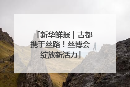 新华鲜报｜古都携手丝路！丝博会绽放新活力
