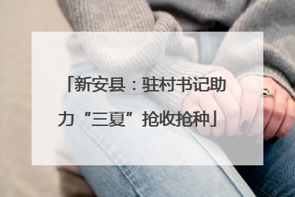 新安县：驻村书记助力“三夏”抢收抢种