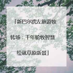 新巴尔虎左旗游牧转场：千年轮牧智慧绘就草原新景