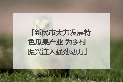 新民市大力发展特色瓜果产业 为乡村振兴注入强劲动力