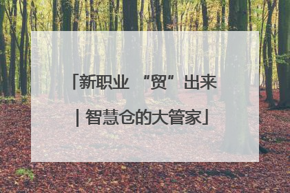 新职业 “贸”出来｜智慧仓的大管家