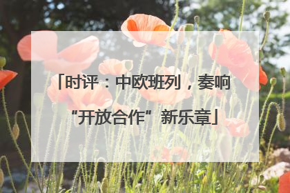 时评：中欧班列，奏响“开放合作”新乐章