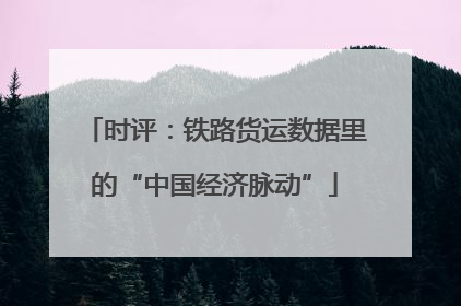 时评：铁路货运数据里的“中国经济脉动”