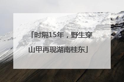 时隔15年，野生穿山甲再现湖南桂东
