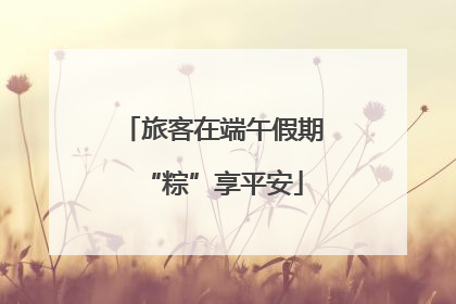 旅客在端午假期“粽”享平安