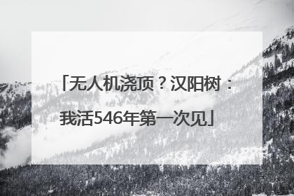 无人机浇顶？汉阳树：我活546年第一次见
