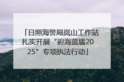 日照海警局岚山工作站扎实开展“碧海蓝盾2025”专项执法行动