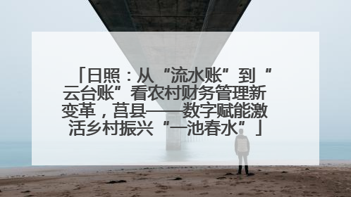 日照：从“流水账”到“云台账”看农村财务管理新变革，莒县——数字赋能激活乡村振兴“一池春水”