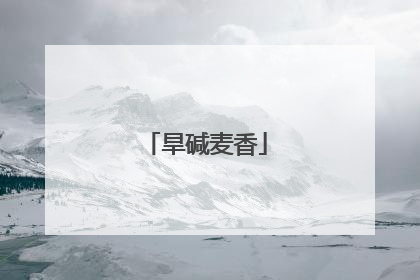 旱碱麦香