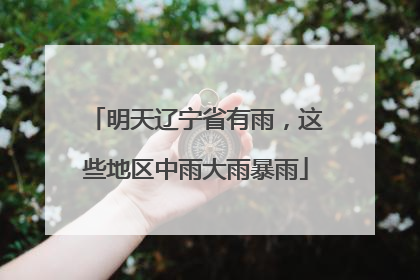 明天辽宁省有雨，这些地区中雨大雨暴雨