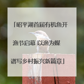昭平湖首届有机鱼开渔节启幕 以渔为媒 谱写乡村振兴新篇章
