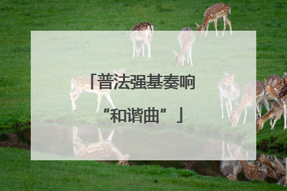 普法强基奏响“和谐曲”