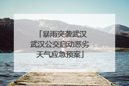 暴雨突袭武汉 武汉公交启动恶劣天气应急预案