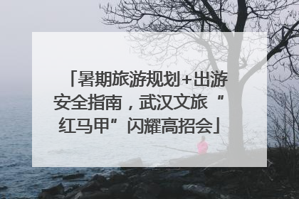 暑期旅游规划+出游安全指南，武汉文旅“红马甲”闪耀高招会