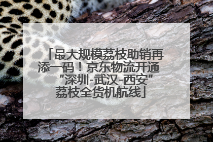 最大规模荔枝助销再添一码！京东物流开通“深圳-武汉-西安” 荔枝全货机航线