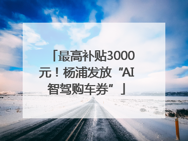 最高补贴3000元！杨浦发放“AI智驾购车券”