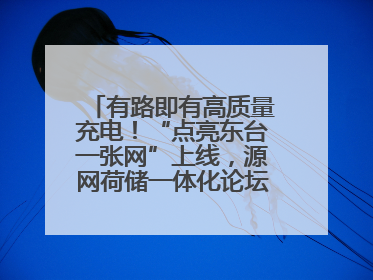 有路即有高质量充电！“点亮东台一张网”上线，源网荷储一体化论坛聚焦低碳转型