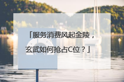 服务消费风起金陵，玄武如何抢占C位？