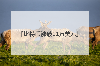 比特币涨破11万美元