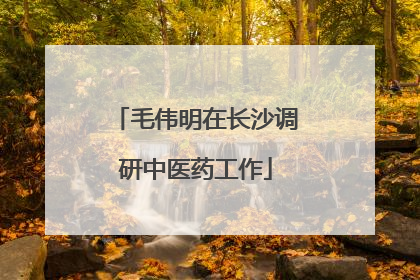 毛伟明在长沙调研中医药工作