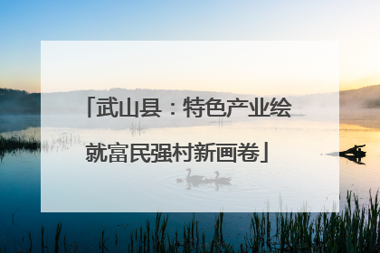 武山县：特色产业绘就富民强村新画卷