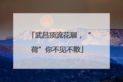 武昌顶流花展，“荷”你不见不散