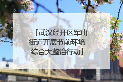 武汉经开区军山街道开展节前环境综合大整治行动
