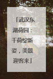 武汉东湖荷园：千荷绽新姿，美景迎客来