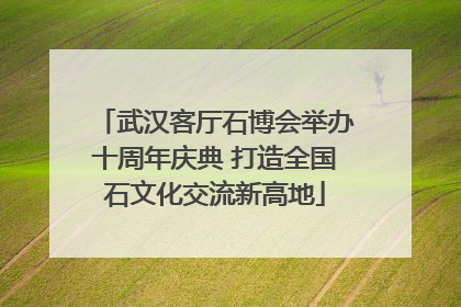 武汉客厅石博会举办十周年庆典 打造全国石文化交流新高地