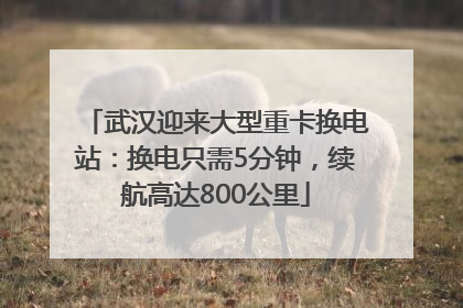 武汉迎来大型重卡换电站：换电只需5分钟，续航高达800公里
