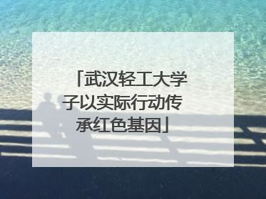 武汉轻工大学子以实际行动传承红色基因
