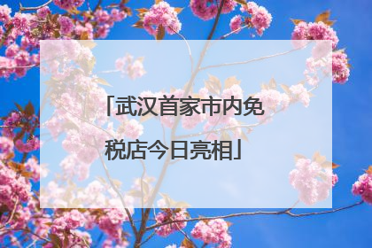 武汉首家市内免税店今日亮相