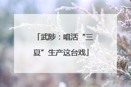 武陟：唱活“三夏”生产这台戏