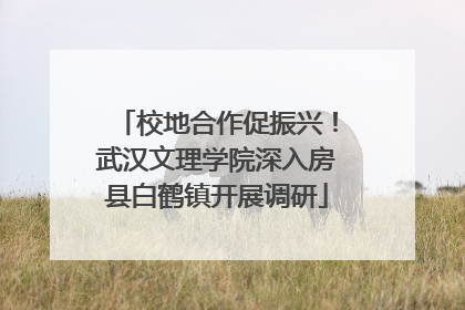 校地合作促振兴！武汉文理学院深入房县白鹤镇开展调研