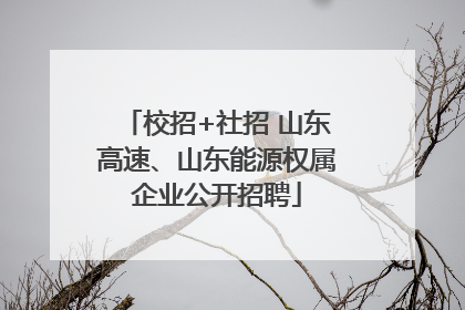 校招+社招 山东高速、山东能源权属企业公开招聘